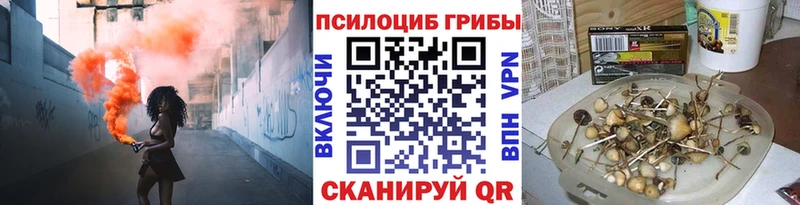 Галлюциногенные грибы Cubensis  mega tor  Каргополь 
